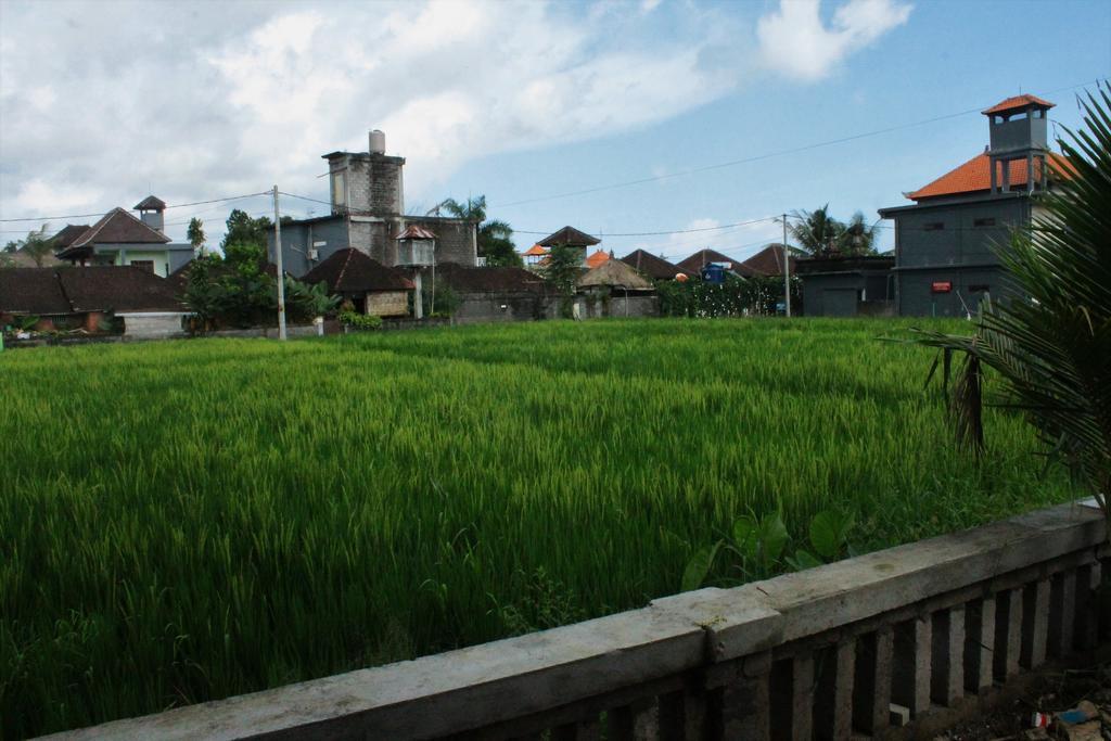 Cenik House Ubud Dış mekan fotoğraf